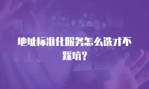 地址标准化服务怎么选才不踩坑？