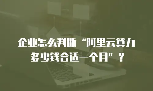 企业怎么判断“阿里云算力多少钱合适一个月”？