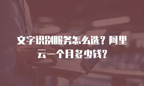文字识别服务怎么选？阿里云一个月多少钱？