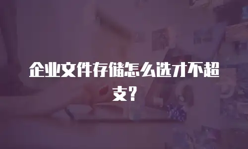 企业文件存储怎么选才不超支？