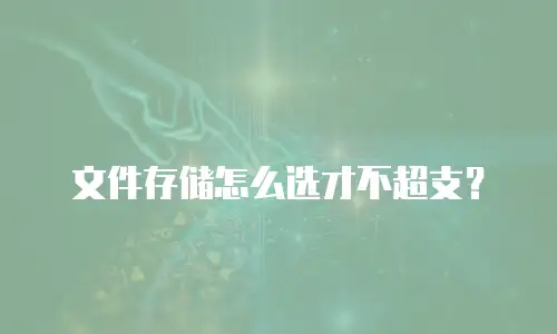 文件存储怎么选才不超支？