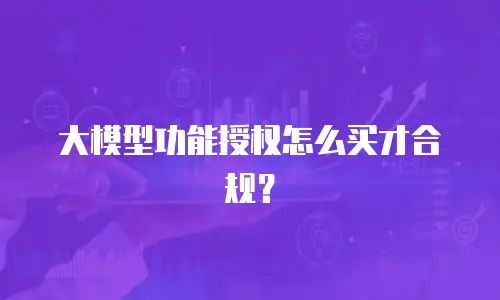 大模型功能授权怎么买才合规？