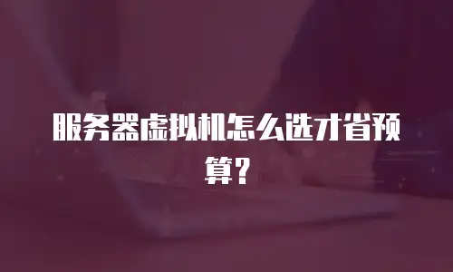 服务器虚拟机怎么选才省预算？