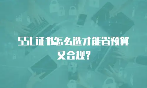 SSL证书怎么选才能省预算又合规？