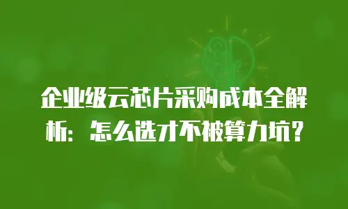 企业级云芯片采购成本全解析：怎么选才不被算力坑？