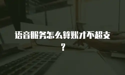 语音服务怎么算账才不超支？