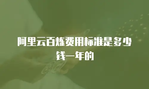 阿里云百炼费用标准是多少钱一年的