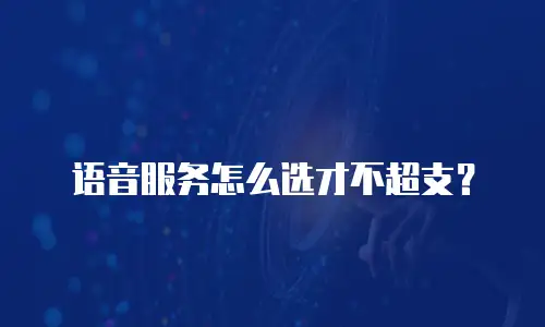 语音服务怎么选才不超支？
