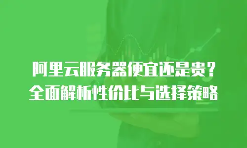 阿里云服务器便宜还是贵？全面解析性价比与选择策略