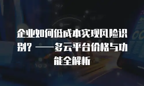 企业如何低成本实现风险识别？——多云平台价格与功能全解析
