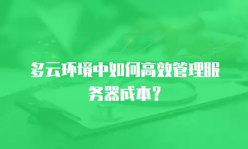 多云环境中如何高效管理服务器成本？