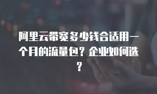 阿里云带宽多少钱合适用一个月的流量包？企业如何选？