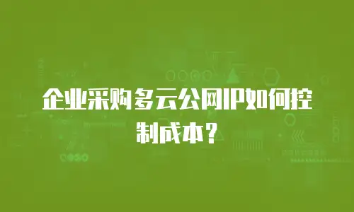 企业采购多云公网IP如何控制成本？