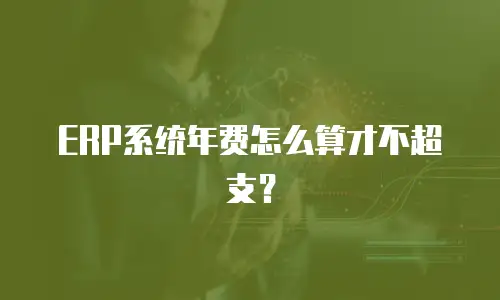 ERP系统年费怎么算才不超支？