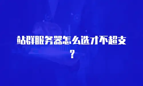 站群服务器怎么选才不超支？