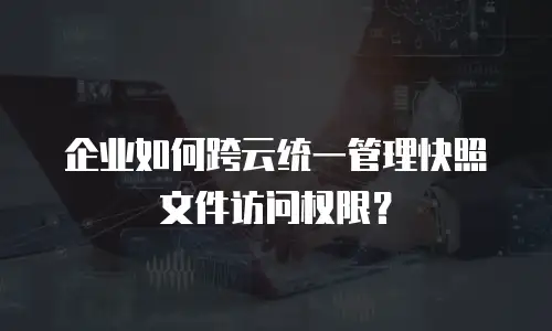 企业如何跨云统一管理快照文件访问权限？