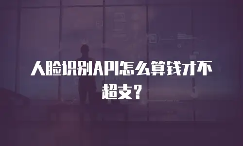 人脸识别API怎么算钱才不超支？