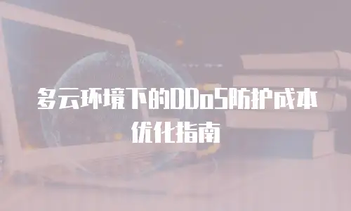 多云环境下的DDoS防护成本优化指南