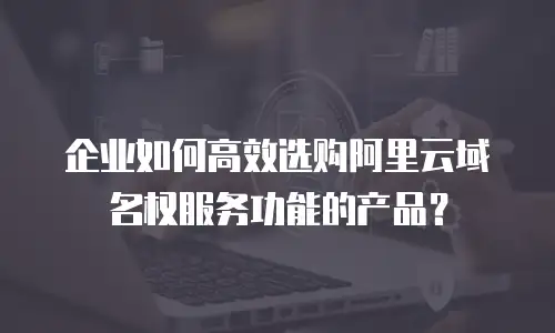 企业如何高效选购阿里云域名权服务功能的产品？