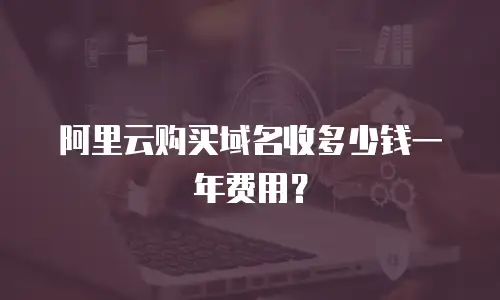 阿里云购买域名收多少钱一年费用？
