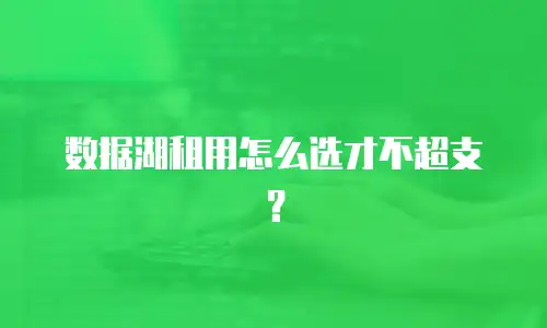 数据湖租用怎么选才不超支？