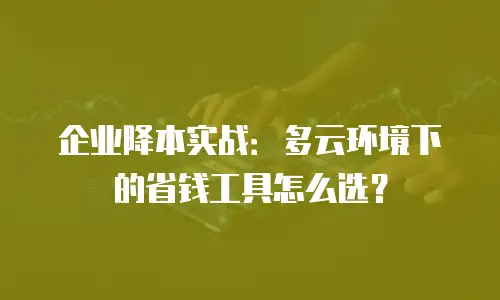 企业降本实战：多云环境下的省钱工具怎么选？