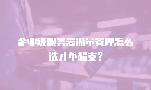 企业级服务器流量管理怎么选才不超支？