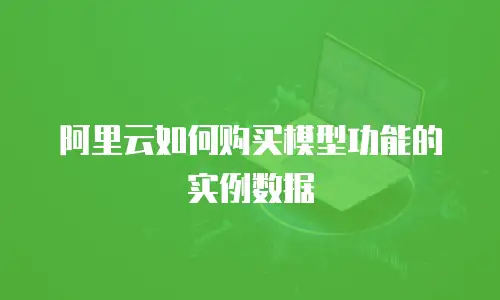 阿里云如何购买模型功能的实例数据