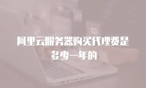 阿里云服务器购买代理费是多少一年的