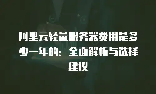阿里云轻量服务器费用是多少一年的：全面解析与选择建议