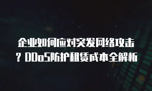 企业如何应对突发网络攻击？DDoS防护租赁成本全解析