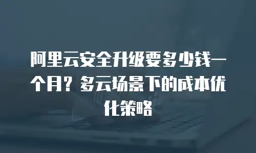 阿里云安全升级要多少钱一个月？多云场景下的成本优化策略