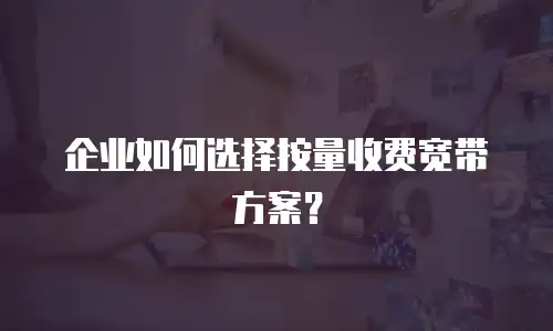 企业如何选择按量收费宽带方案？