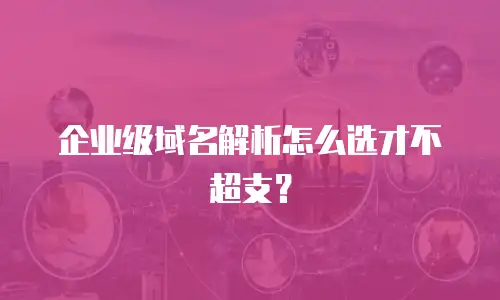 企业级域名解析怎么选才不超支？