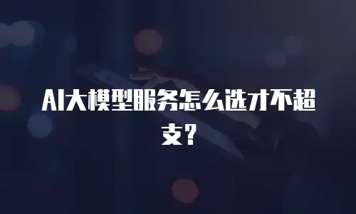 AI大模型服务怎么选才不超支？