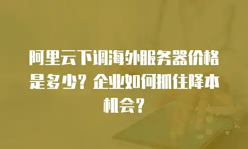 阿里云下调海外服务器价格是多少？企业如何抓住降本机会？