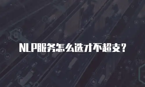 NLP服务怎么选才不超支？