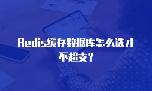 Redis缓存数据库怎么选才不超支？