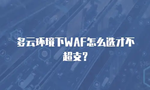 多云环境下WAF怎么选才不超支？