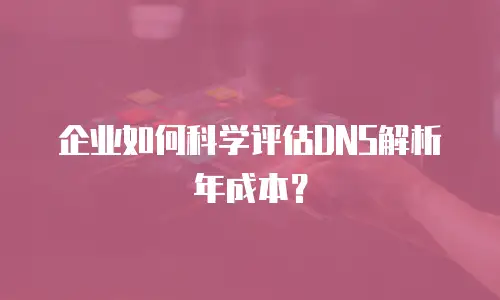企业如何科学评估DNS解析年成本？