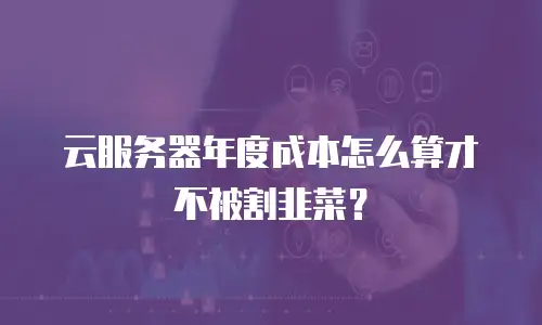 云服务器年度成本怎么算才不被割韭菜？