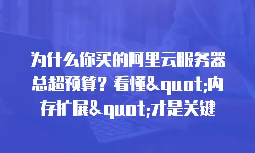 为什么你买的阿里云服务器总超预算？看懂"内存扩展"才是关键