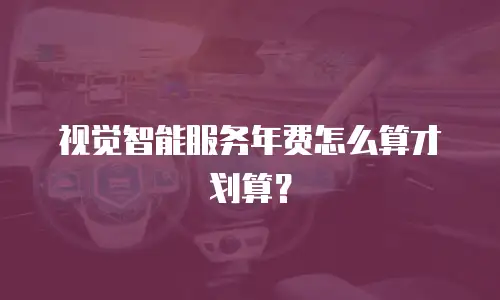 视觉智能服务年费怎么算才划算？