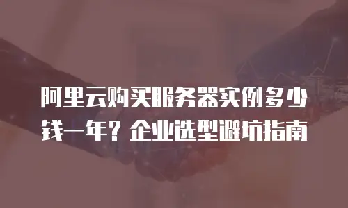 阿里云购买服务器实例多少钱一年？企业选型避坑指南