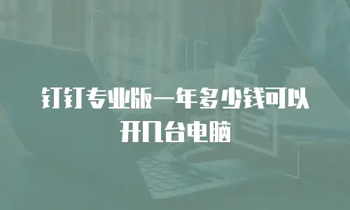 钉钉专业版一年多少钱可以开几台电脑