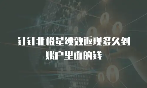 钉钉北极星绩效返现多久到账户里面的钱