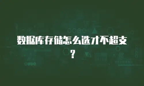 数据库存储怎么选才不超支？