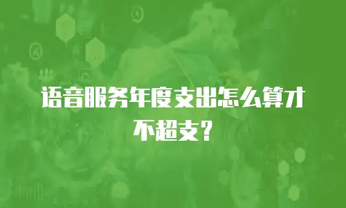 语音服务年度支出怎么算才不超支？