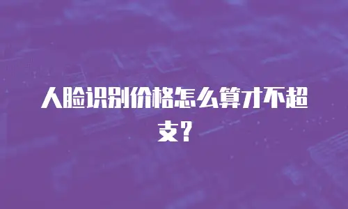 人脸识别价格怎么算才不超支？
