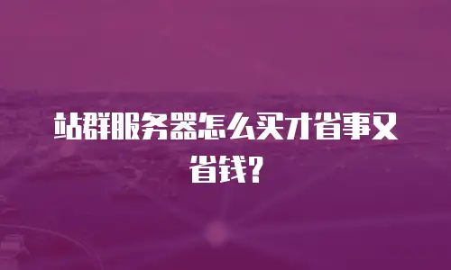 站群服务器怎么买才省事又省钱？